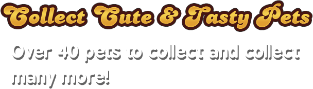 collect-content